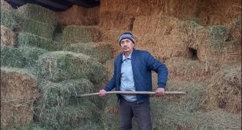 «АУЫЛ АМАНАТЫ» БАҒДАРЛАМАСЫ — ХАЛЫҚ КІРІСІН АРТТЫРУДЫҢ НАҚТЫ МЕХАНИЗМІ