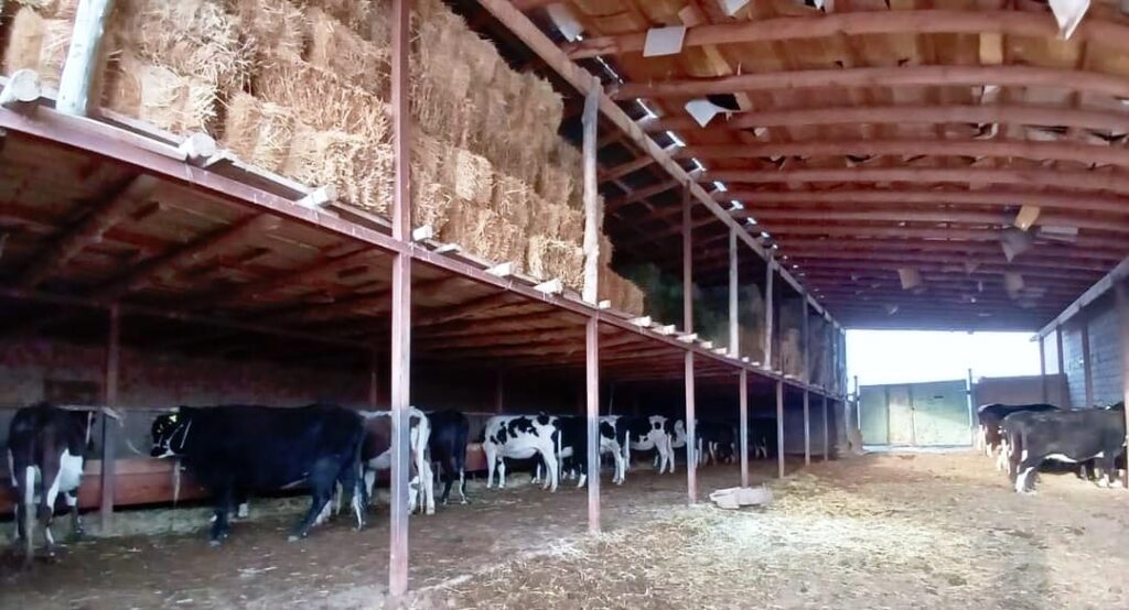 «АУЫЛ АМАНАТЫ» ЖОБАСЫ АРҚЫЛЫ 2,5 ПАЙЫЗБЕН ӨРКЕНДЕУДІҢ ЖАҢА ДӘУІРІ