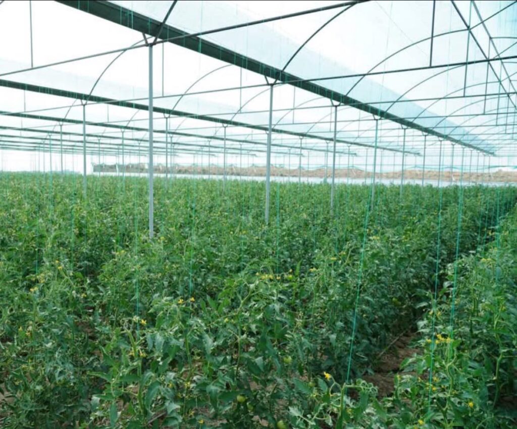 ШҰБАРСУДА БОЙ КӨТЕРГЕН ӨРКЕНДЕЕУ КЕШЕНІ — «АУЫЛ АМАНАТЫНЫҢ» МАЯГЫ