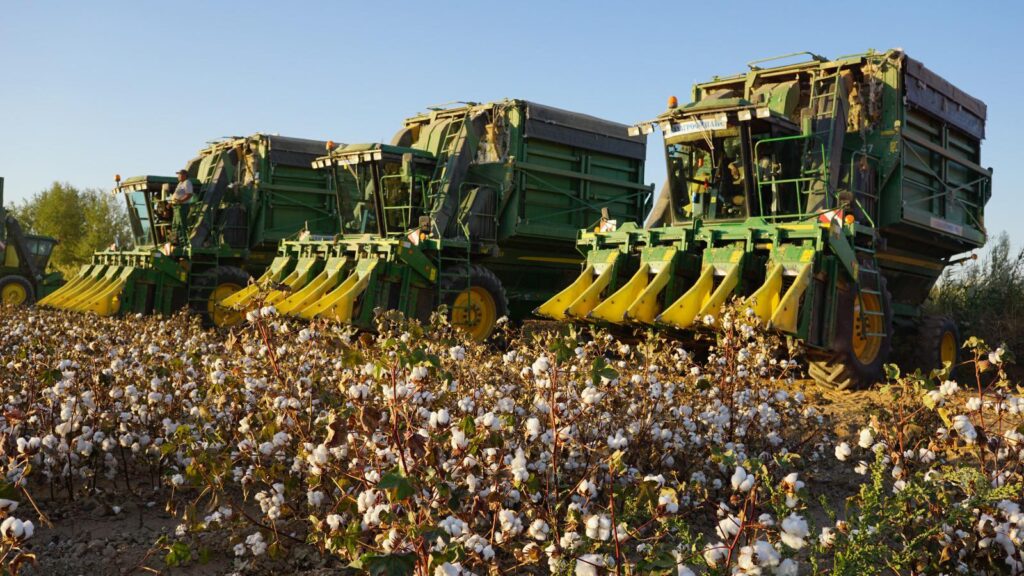 МАҚТА ШАРУАШЫЛЫҒЫНДАҒЫ ИННОВАЦИЯЛАР