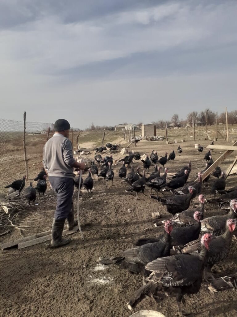 «АУЫЛ АМАНАТЫ» ЖОБАСЫМЕН ТАБЫСҚА ЖЕТУДІҢ ФОРМУЛАСЫ