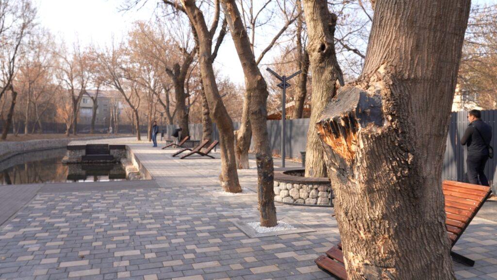 ШЫМКЕНТТЕ ҚОШҚАР АТА ӨЗЕНІН АБАТТАНДЫРУ ЖОБАСЫ ЖАҢА ҚАРҚЫНМЕН ЖҮЗЕГЕ АСУДА